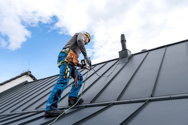 Best Roof Maintenance and Cleaning  in Benton, IL